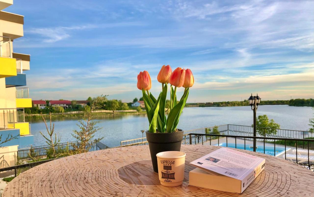 Snagov Lakeview Residences Tincabesti Exteriér fotografie
