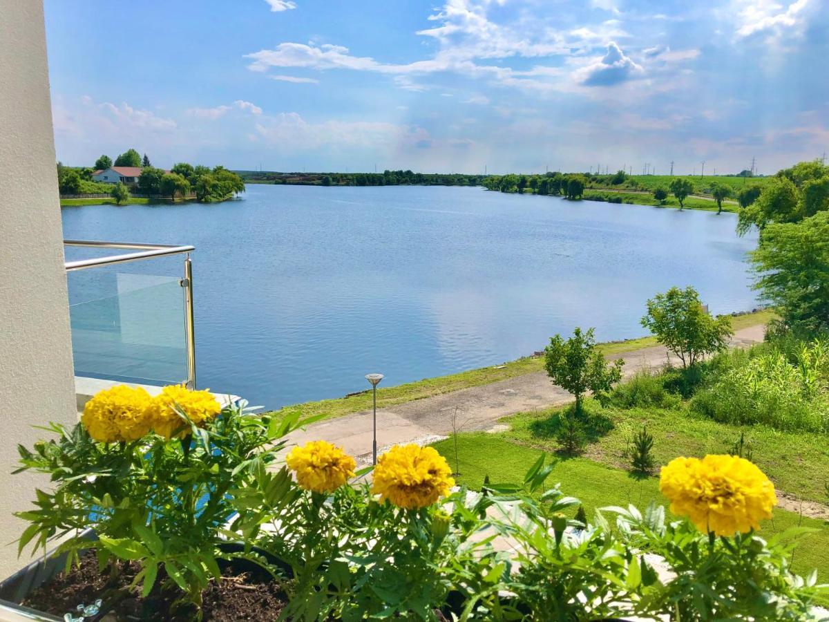 Snagov Lakeview Residences Tincabesti Exteriér fotografie